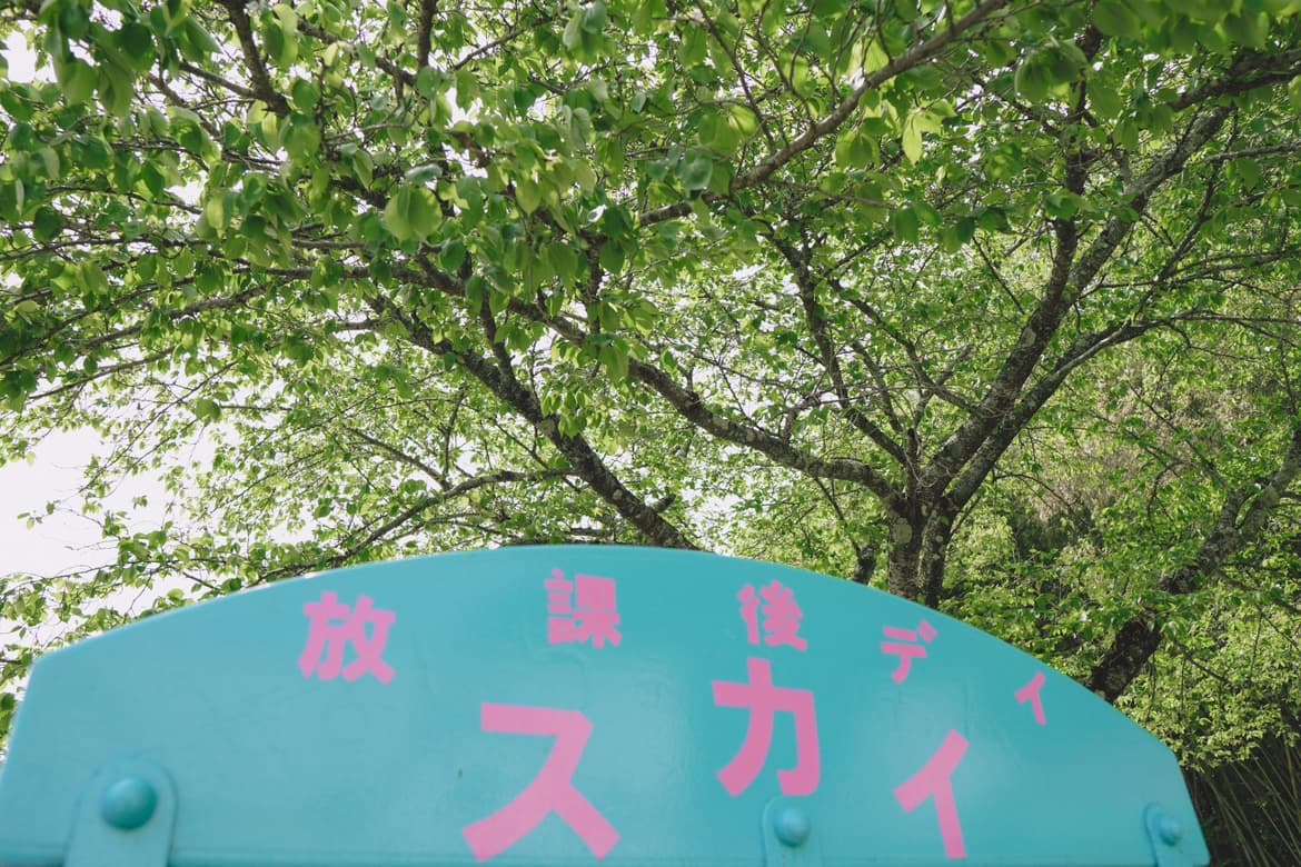 スカイについて